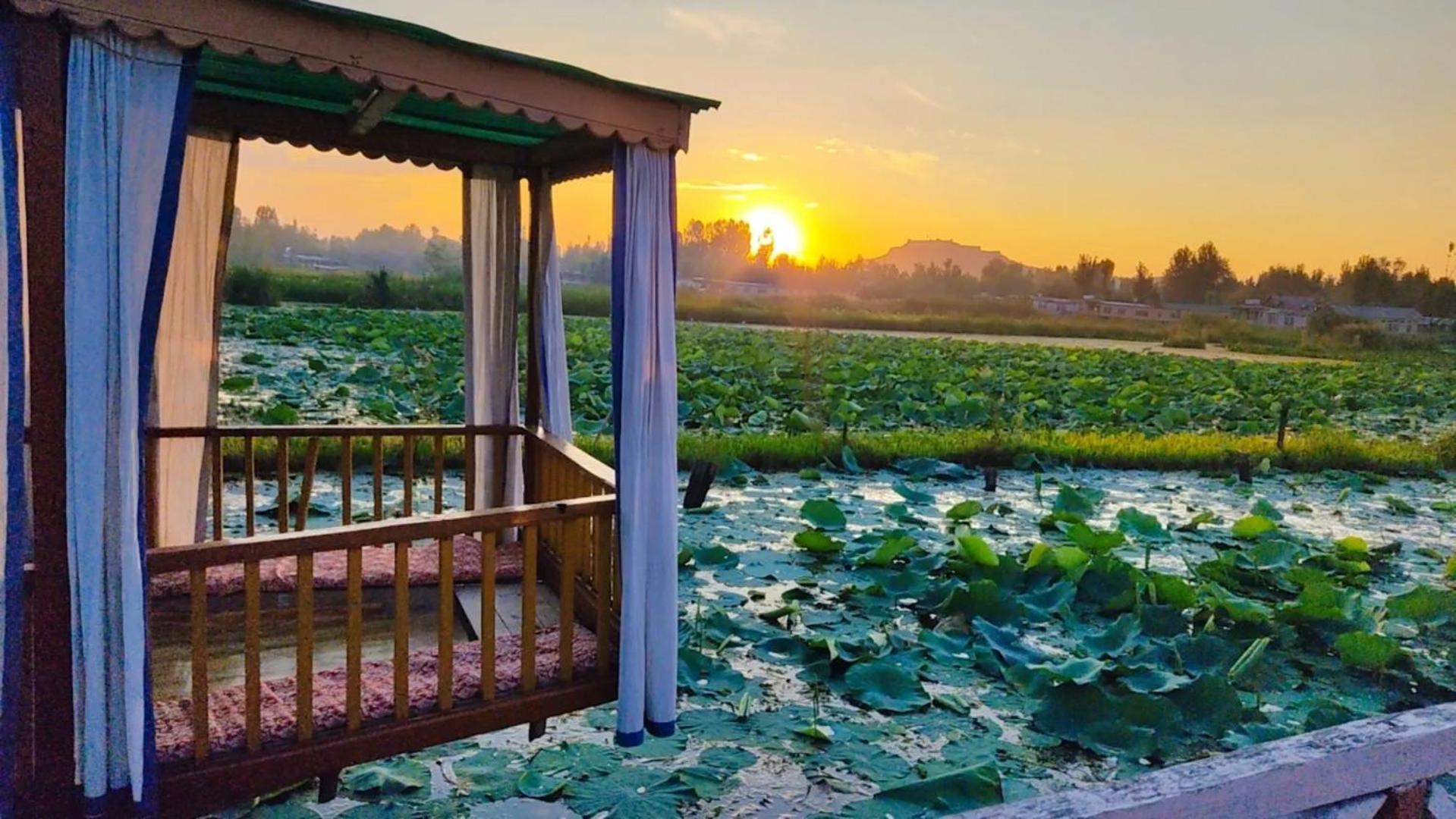 Houseboat Young Wild Rose Srinagar  Luaran gambar