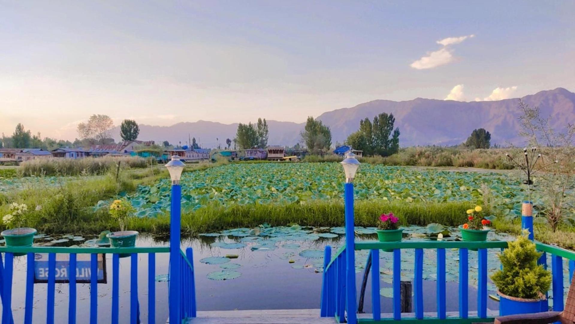 Houseboat Young Wild Rose Srinagar  Luaran gambar